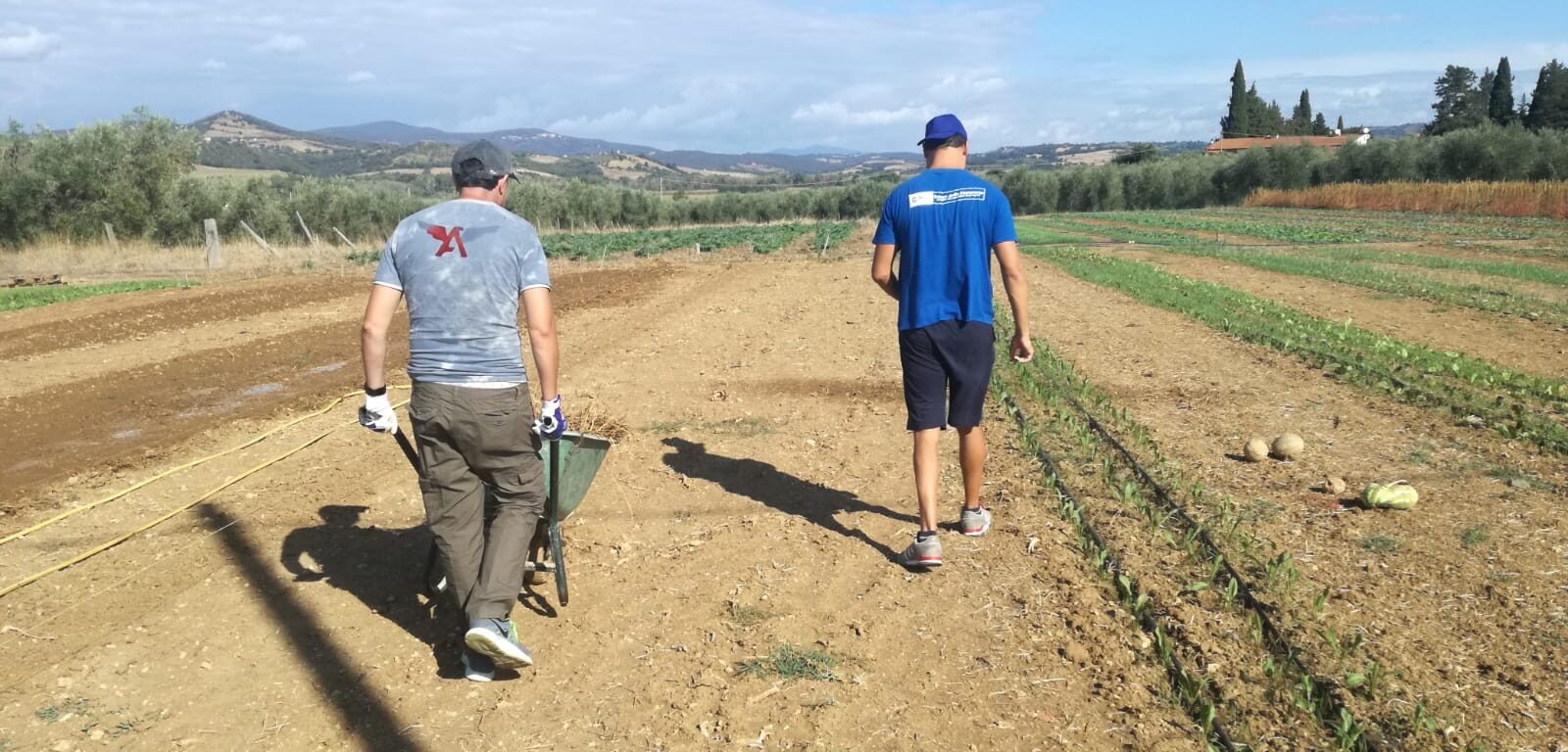 Agricoltura sociale