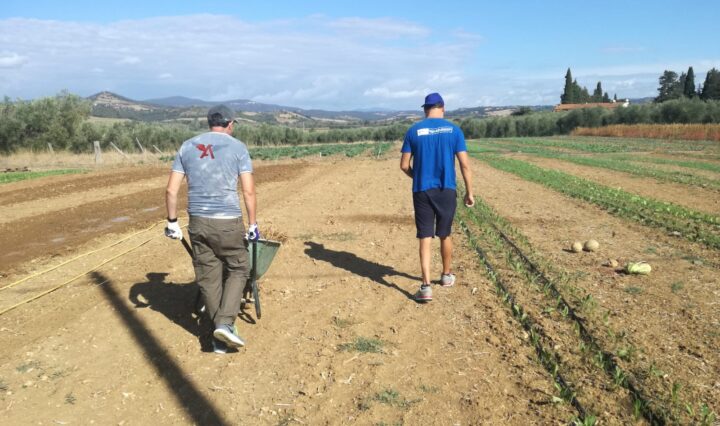 Agricoltura sociale