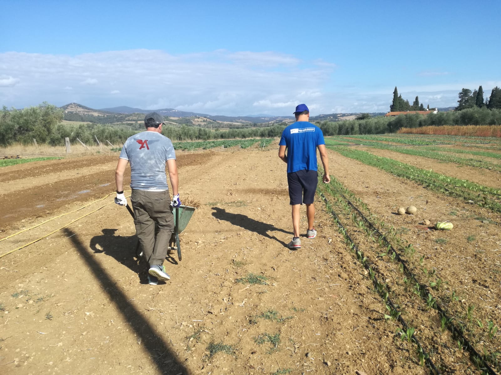 Agricoltura sociale